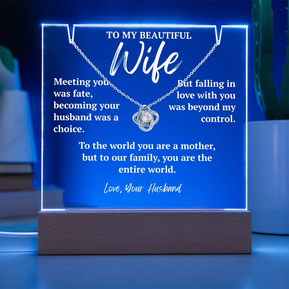 To My Beautiful Wife - "Our Entire World"