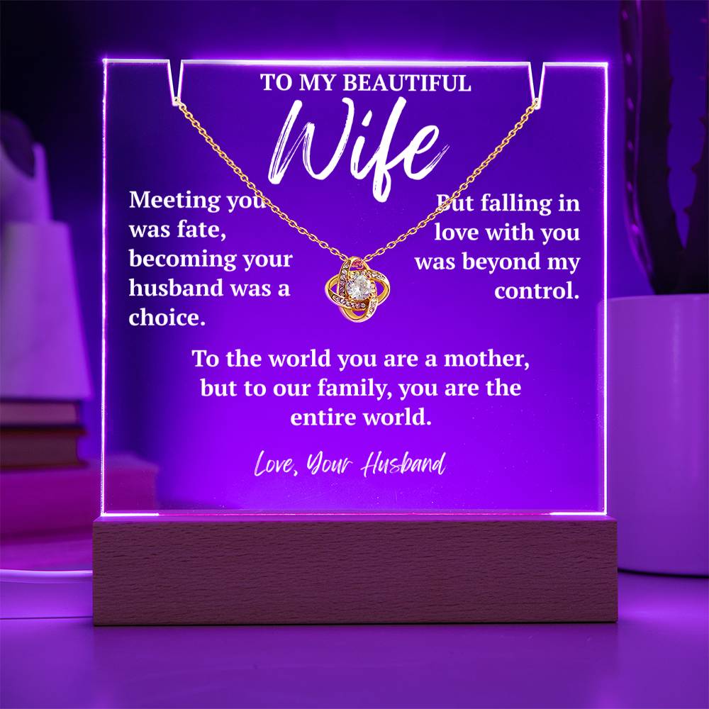 To My Beautiful Wife - "Our Entire World"