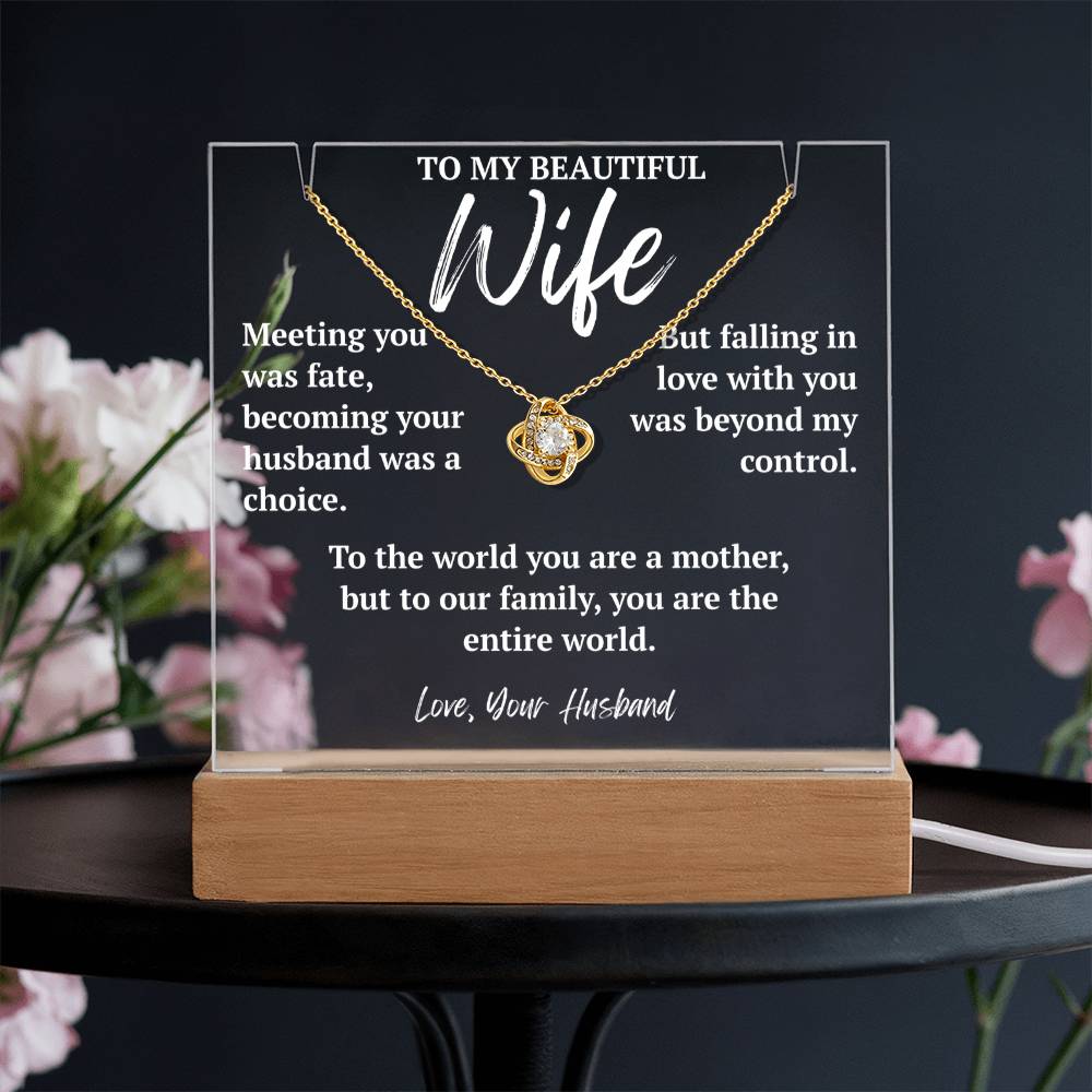 To My Beautiful Wife - "Our Entire World"