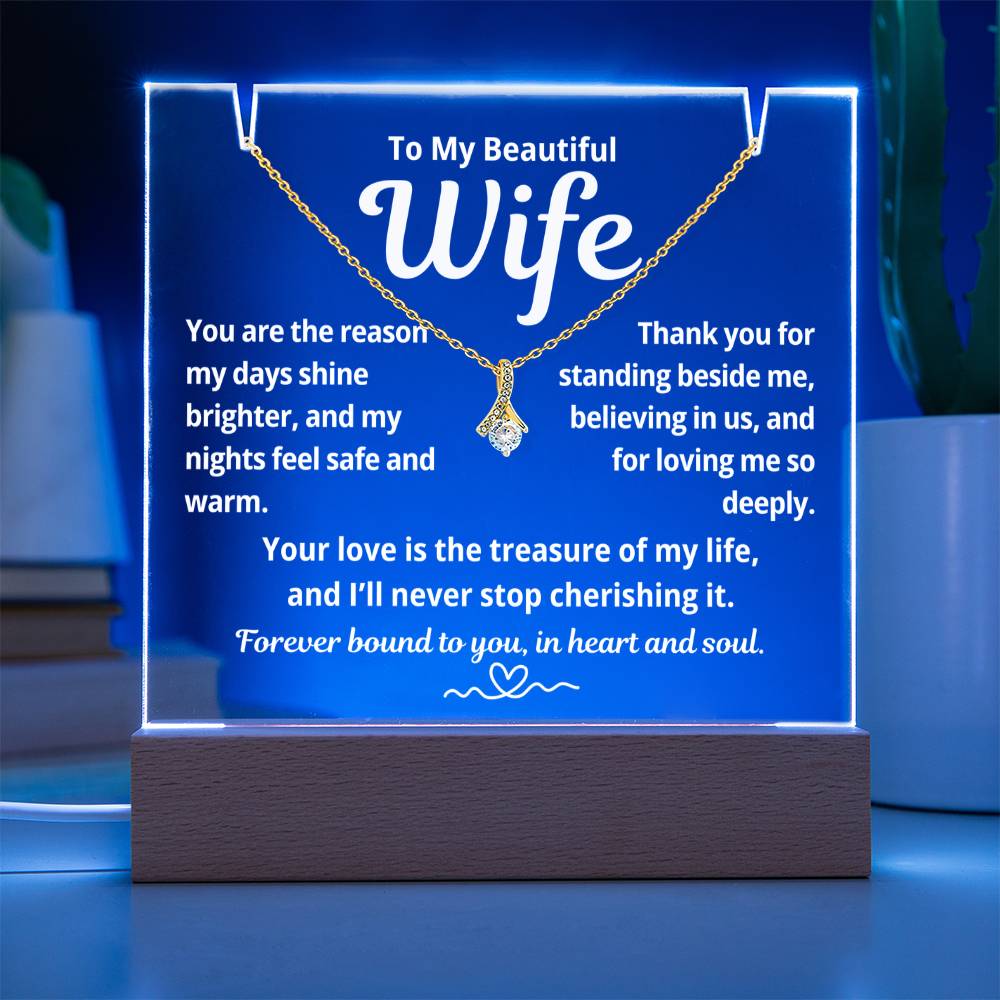 To My Beautiful Wife "You Are The Reason.." Lighted Acrylic Keepsake with Alurring Beauty Necklace