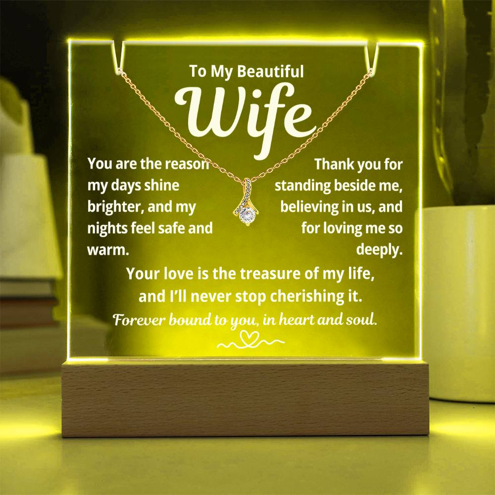 To My Beautiful Wife "You Are The Reason.." Lighted Acrylic Keepsake with Alurring Beauty Necklace