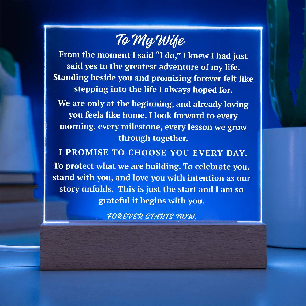 To My Wife acrylic plaque in blue LED light romantic wedding gift