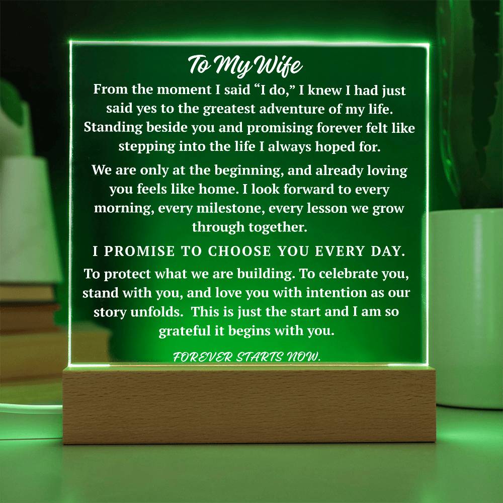 To My Wife acrylic plaque in green LED light modern romantic gift