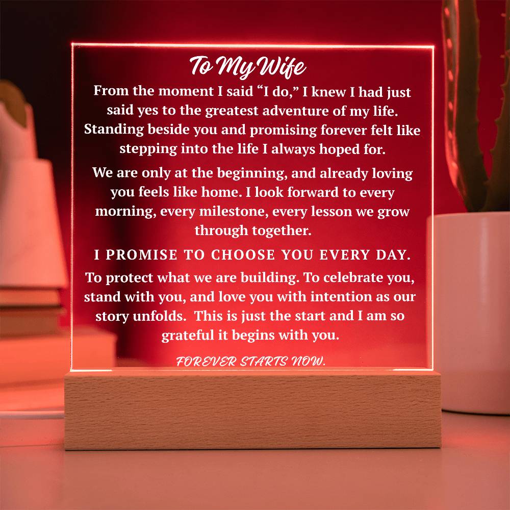 To My Wife acrylic plaque in red LED light passionate love gift